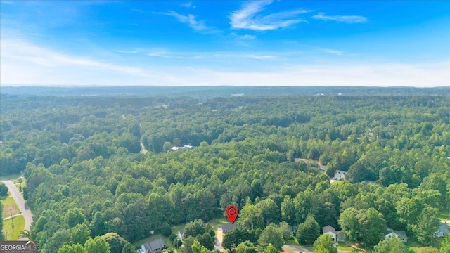 69 Southern Trace Way, Rockmart, GA 30153 - drone / aerial view of a forest