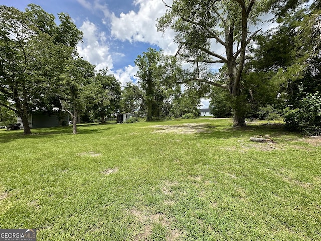 210 W Graham St, Mcrae-Helena, GA 31055 - view of green lawn