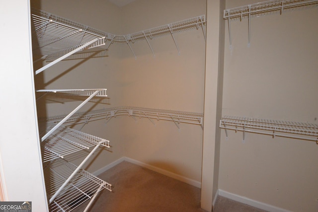195 Twin Oaks Dr, Hampton, GA 30228 - spacious closet with carpet flooring