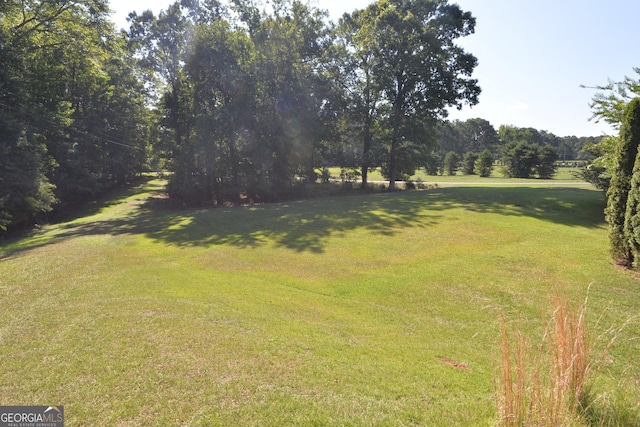 195 Twin Oaks Dr, Hampton, GA 30228 - view of grassy yard