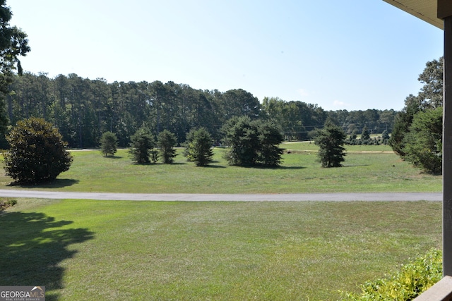195 Twin Oaks Dr, Hampton, GA 30228 - view of grassy yard