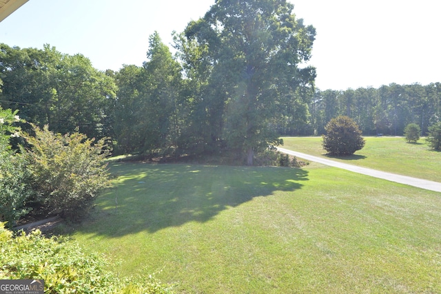 195 Twin Oaks Dr, Hampton, GA 30228 - view of green lawn