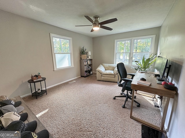 1501 E Main St, Hogansville, GA 30230 - carpeted home office with ceiling fan and a textured ceiling