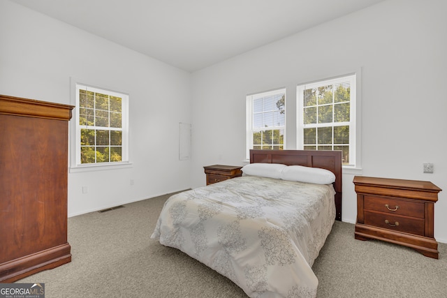 303 Oak Way Dr, Eastanollee, GA 30538 - bedroom featuring carpet flooring and multiple windows