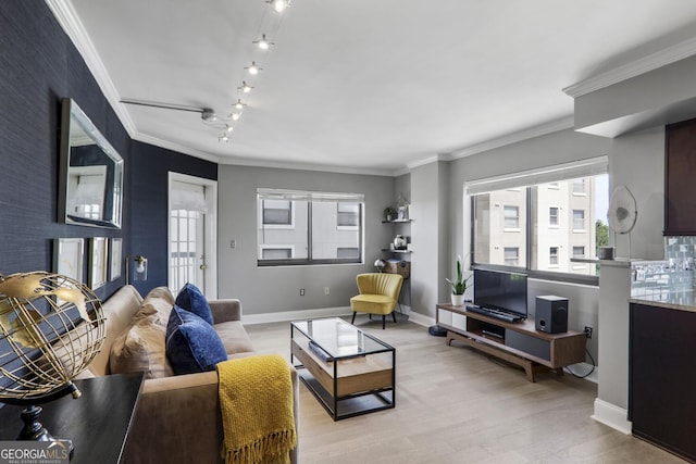 795 Hammond Dr Unit 1012, Atlanta, GA 30328 - living room featuring light wood-type flooring and crown molding