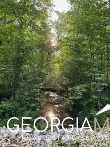 2535 Willow Ln, Social Circle, GA 30025