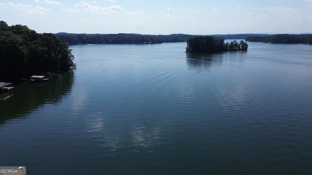 109 Windsong Way, Westminster, SC 29693 - water view