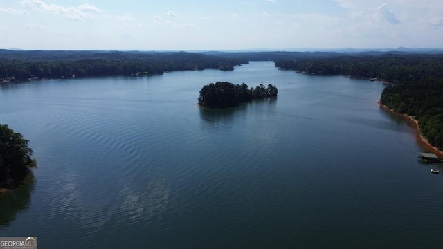 109 Windsong Way, Westminster, SC 29693 - water view featuring a heavily wooded area