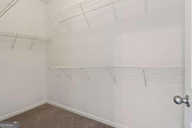1755 Rutland Pass Dr, Lawrenceville, GA 30045 - spacious closet featuring carpet floors