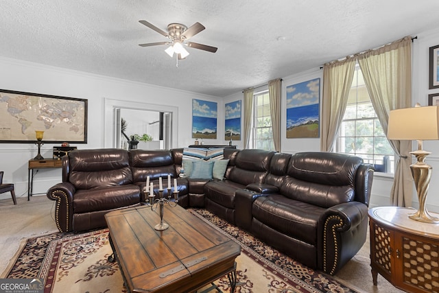 2540 Sugar Hill Rd, Unadilla, GA 31091 - carpeted living room with a textured ceiling, a ceiling fan, and crown molding