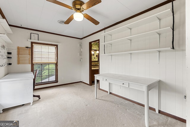 2540 Sugar Hill Rd, Unadilla, GA 31091 - unfurnished office featuring healthy amount of natural light, carpet, ornamental molding, ceiling fan, and wood walls