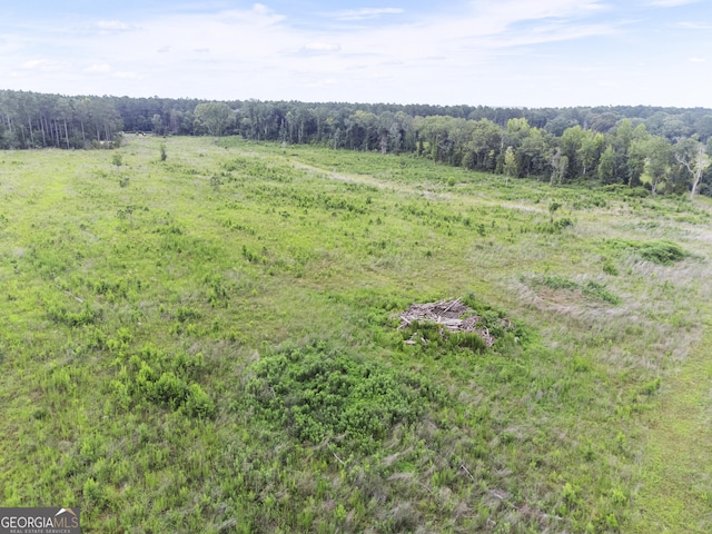 2540 Sugar Hill Rd, Unadilla, GA 31091 - view of local wilderness