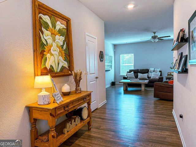 534 Meadows Farm Dr, Monroe, GA 30655 - corridor with wood finished floors and a textured wall