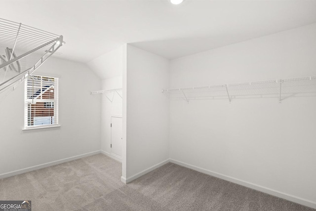 683 Edgar, Hampton, GA 30228 - walk in closet with carpet and lofted ceiling