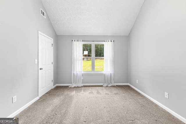 80 Austin Woods Dr, Senoia, GA 30276 - spare room featuring carpet, lofted ceiling, and a textured ceiling