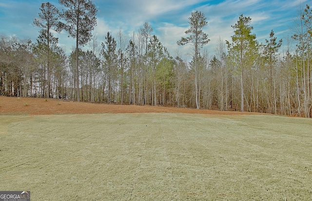 194 Forest Berry Ct Unit 98M2, Newnan, GA 30265 - view of yard