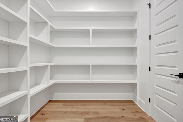 194 Forest Berry Ct Unit 98M2, Newnan, GA 30265 - view of pantry