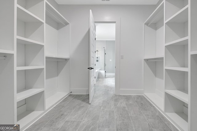 194 Forest Berry Ct Unit 98M2, Newnan, GA 30265 - view of spacious closet
