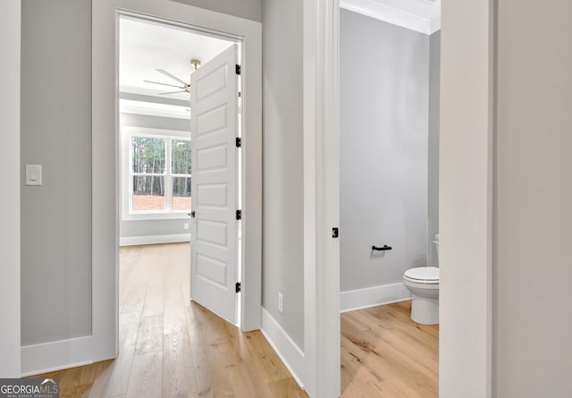 194 Forest Berry Ct Unit 98M2, Newnan, GA 30265 - hall with light wood-style flooring and ornamental molding