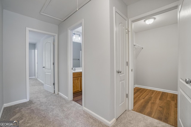 2203 Hyssop Way, Buford, GA 30519 - corridor featuring carpet floors and attic access
