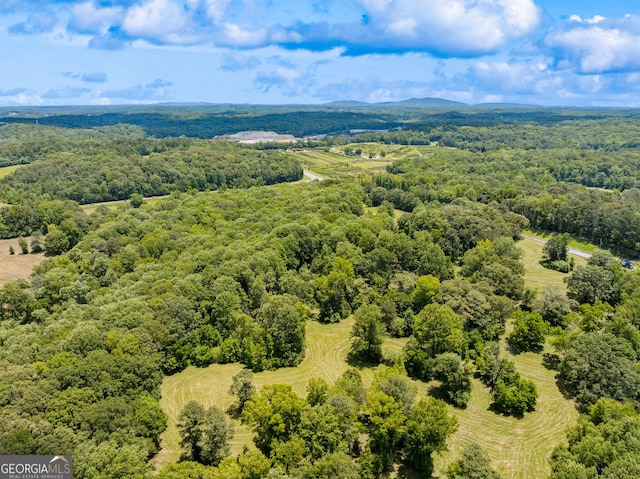2001 Creighton Rd, Ball Ground, GA 30107