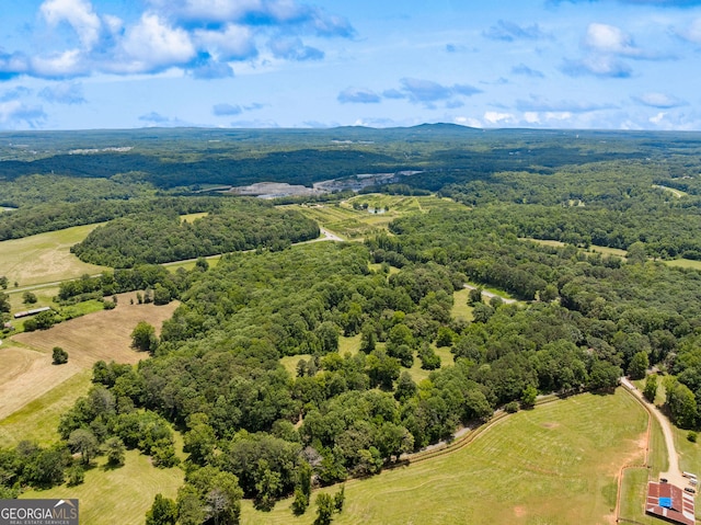 2001 Creighton Rd, Ball Ground, GA 30107