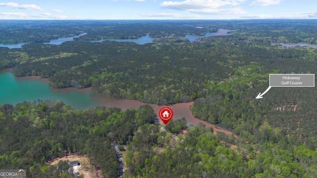 1320 Tal Lewis Rd, White Plains, GA 30678 - aerial view of property's location with a nearby body of water