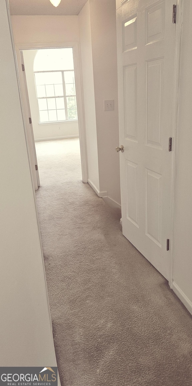 116 Ventura Trl, Stockbridge, GA 30281 - hall featuring carpet flooring
