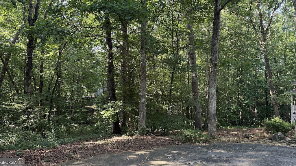 LOT5 Stacey Dr, Cleveland, GA 30528