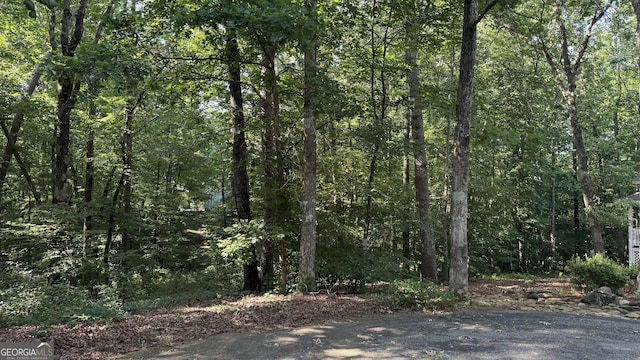 LOT5 Stacey Dr, Cleveland, GA 30528