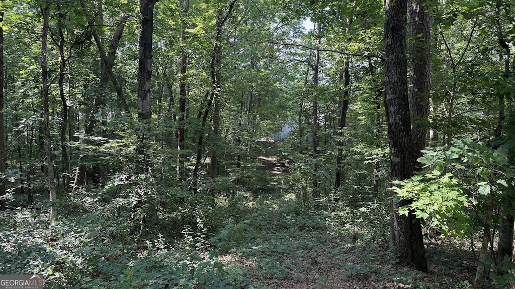 LOT5 Stacey Dr, Cleveland, GA 30528