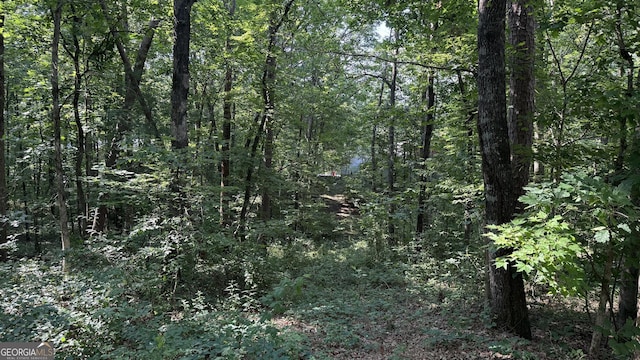LOT5 Stacey Dr, Cleveland, GA 30528
