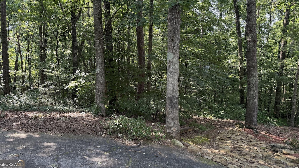 LOT5 Stacey Dr, Cleveland, GA 30528