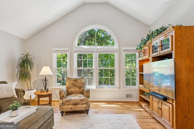 120 Timbervalley Ln, Lawrenceville, GA 30043 - living area featuring lofted ceiling and light wood-style floors