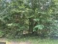 0 Buffalo Lick Rd, Union Point, GA 30669