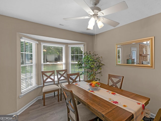 2866 Rosecommons Dr, Hampton, GA 30228 - dining space with wood finished floors, plenty of natural light, and ceiling fan