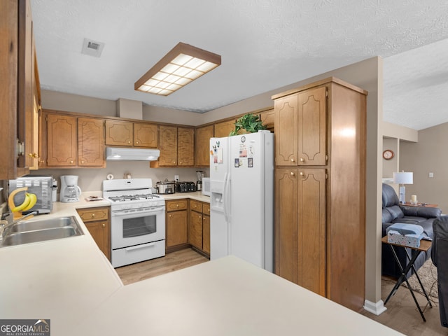 2866 Rosecommons Dr, Hampton, GA 30228 - kitchen with white appliances, under cabinet range hood, light wood finished floors, light countertops, and a peninsula