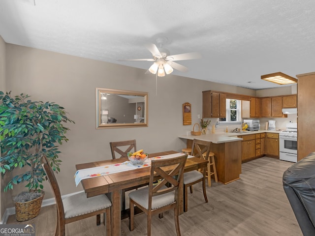 2866 Rosecommons Dr, Hampton, GA 30228 - dining space featuring light wood-style floors, a ceiling fan, and a textured ceiling