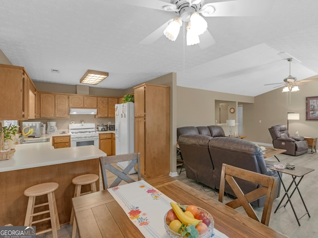 2866 Rosecommons Dr, Hampton, GA 30228 - kitchen featuring white appliances, ceiling fan, under cabinet range hood, a peninsula, and light countertops