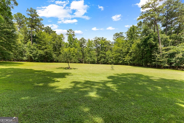 152 Bear Creek Rd, Moreland, GA 30259 - view of green lawn