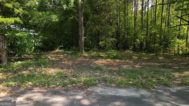 303 Cherokee St, Pine Mountain, GA 31822 - view of woods