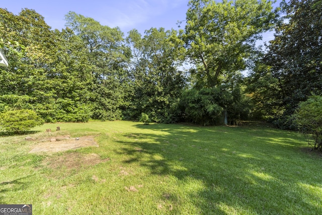303 Cherokee St, Pine Mountain, GA 31822 - view of green lawn