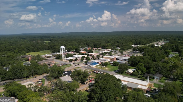 303 Cherokee St, Pine Mountain, GA 31822 - drone / aerial view of a heavily wooded area