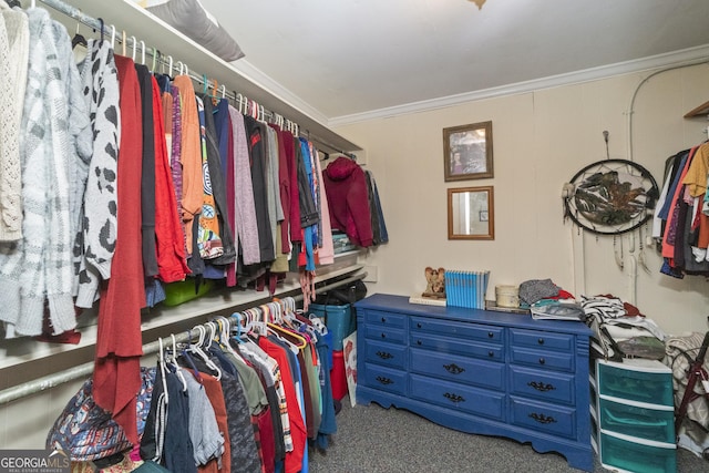 303 Cherokee St, Pine Mountain, GA 31822 - spacious closet with carpet