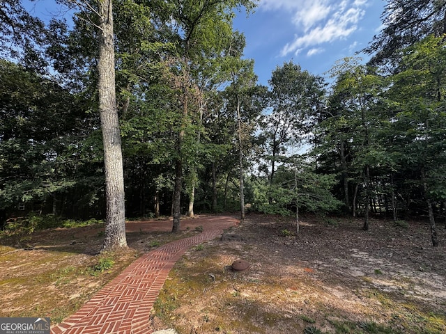 131 Winesap Way, Clarkesville, GA 30523 - view of yard