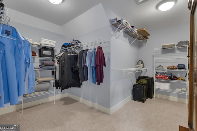 14 Hammock Ridge Dr, Newnan, GA 30265 - spacious closet featuring carpet floors