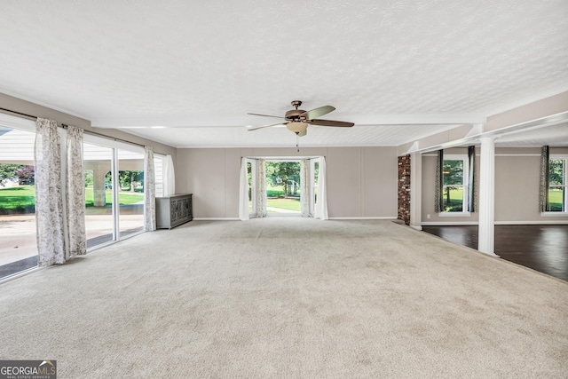 234 Crumbley Rd, Mcdonough, GA 30252 - unfurnished living room with carpet, a ceiling fan, and a textured ceiling