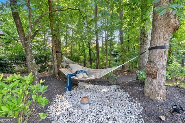 4385 Pinehollow Ct, Alpharetta, GA 30022 - view of local wilderness