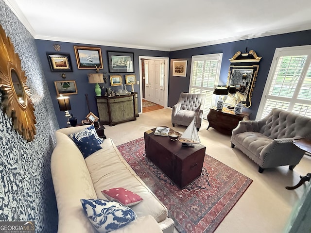 180 Broomsedge Trl, Athens, GA 30605 - carpeted living room featuring healthy amount of natural light and crown molding