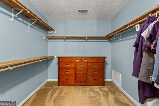 4961 Thornwood Trce NW, Acworth, GA 30102 - walk in closet with carpet floors